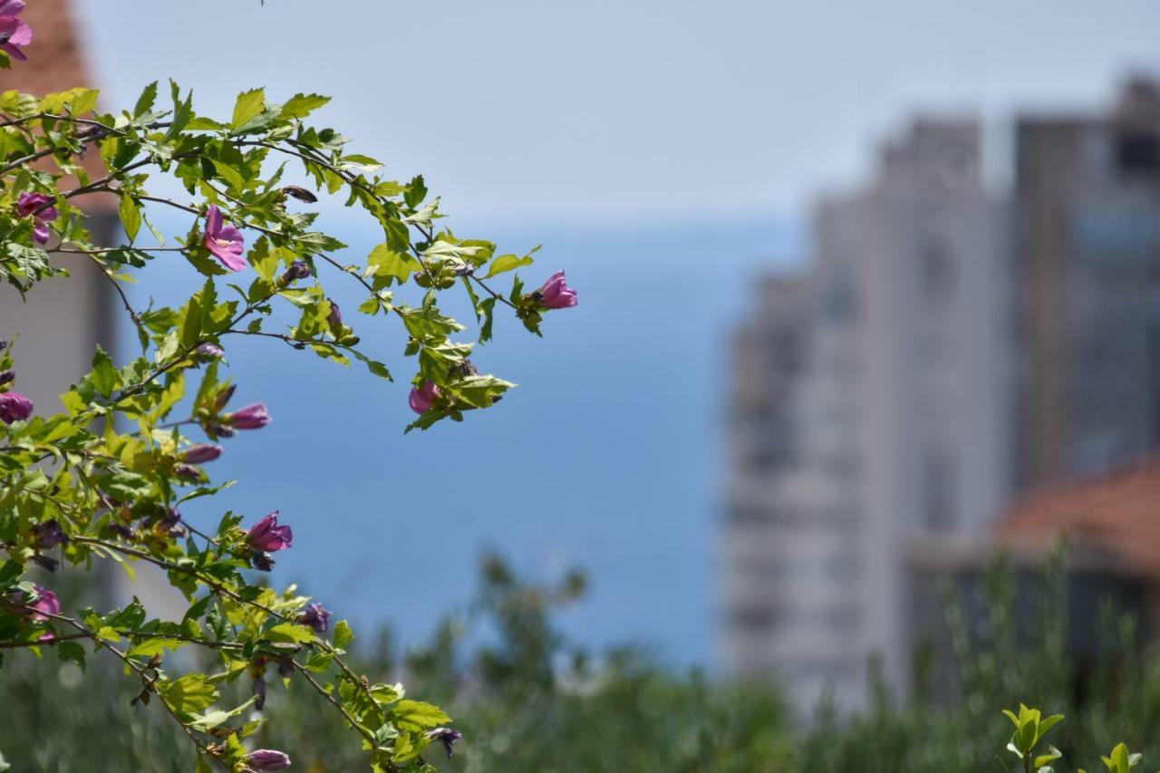 Apartment Neyra 스플리트 외부 사진